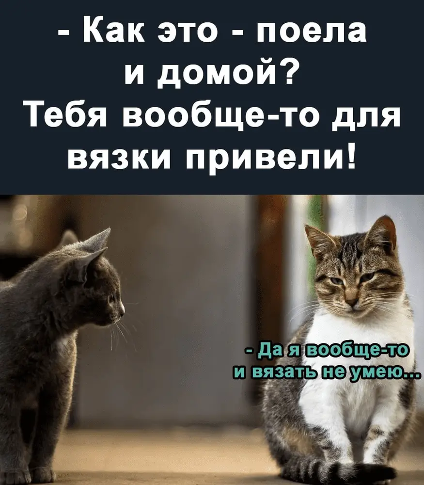 1642580652307.webp