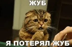 1642590731845.webp
