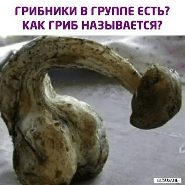 1642660132929.webp