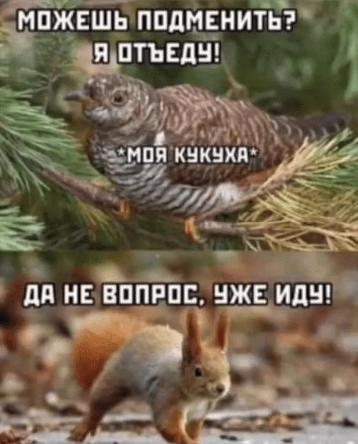 1642774881310.webp