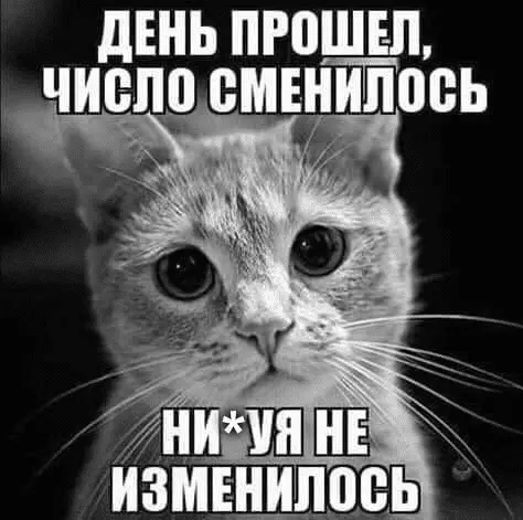 1642785923477.webp