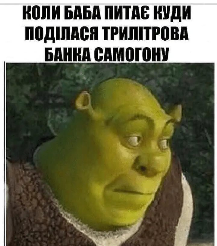 1643005482929.webp