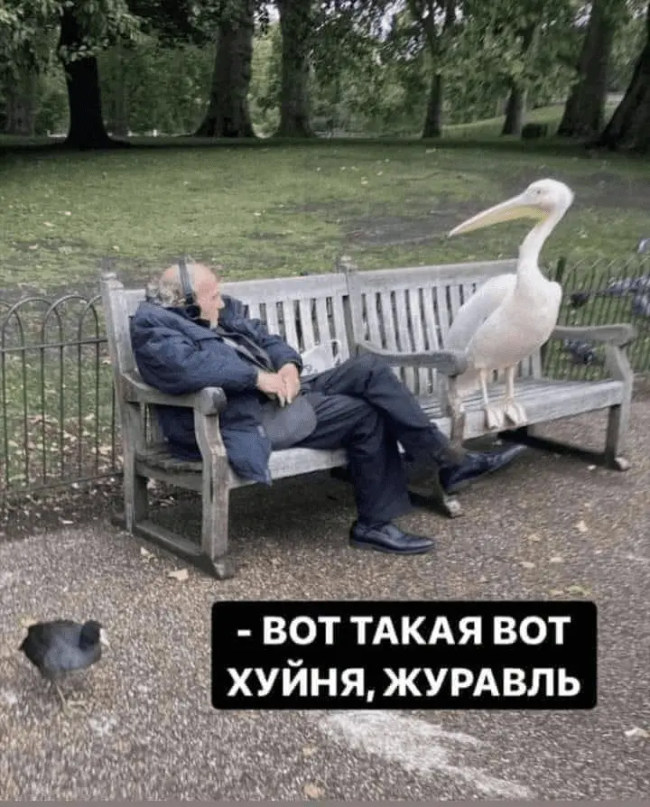 1643029747902.webp