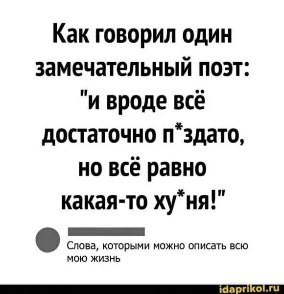1643034852876.webp
