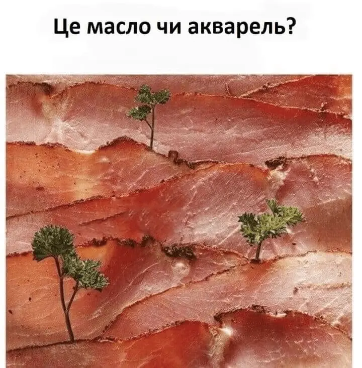 1643035614391.webp