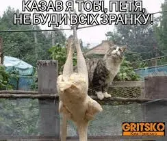 1643181119025.webp