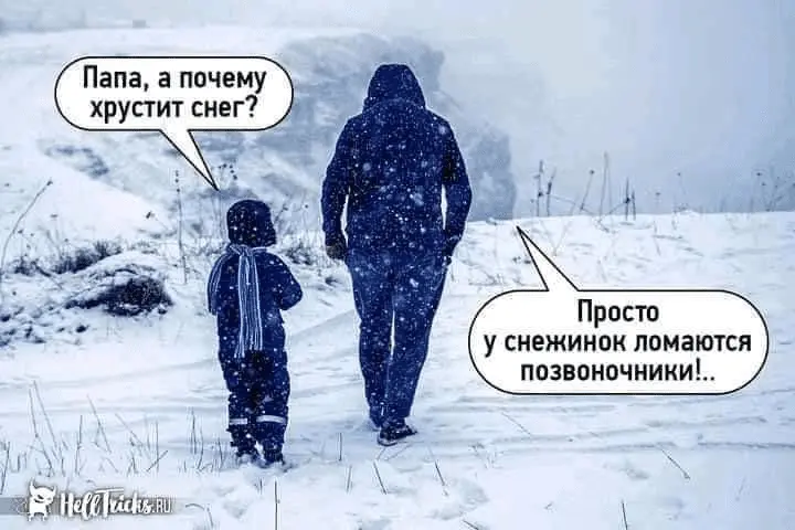 1643262136447.webp