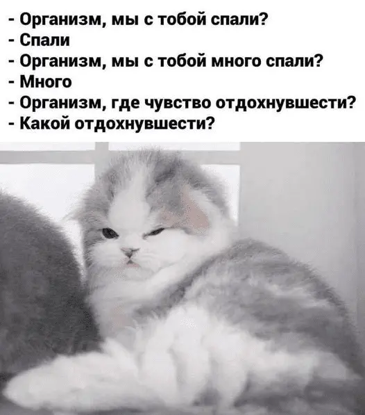 1643348881390.webp