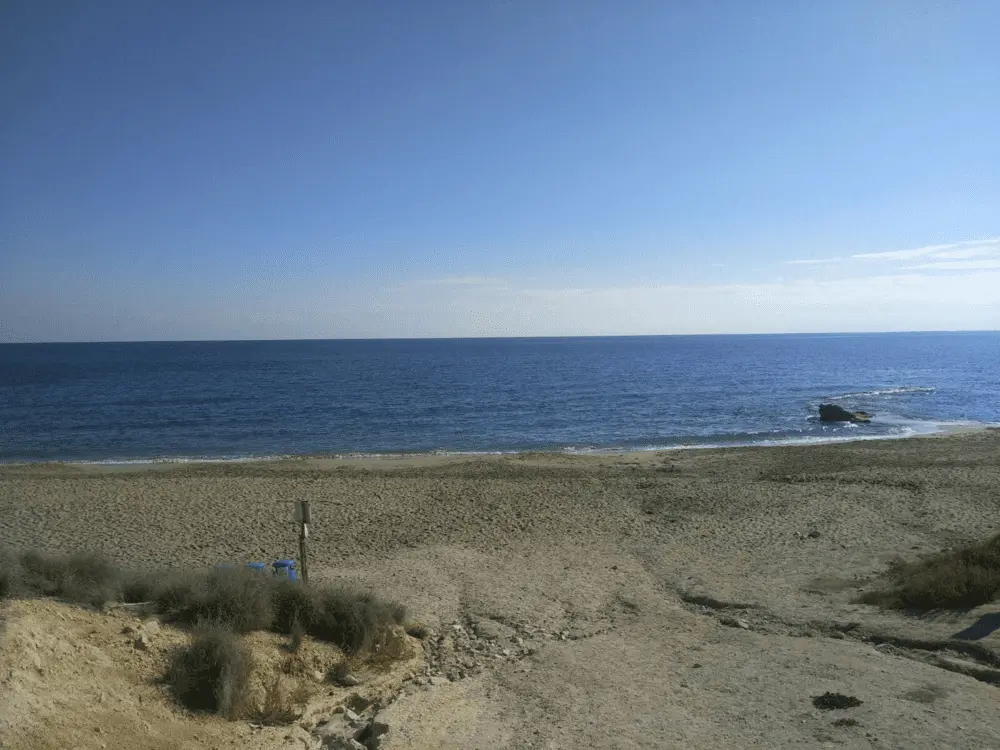1643626917044.webp
