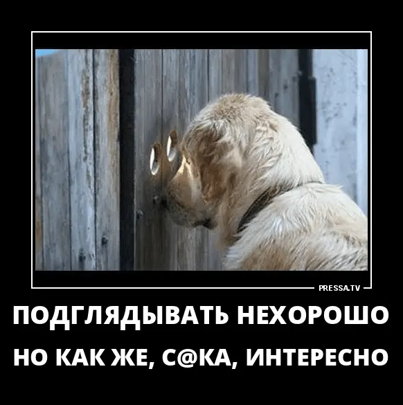 1643652371604.webp