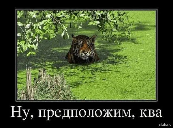 1643786116932.webp