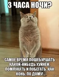 1644023398235.webp