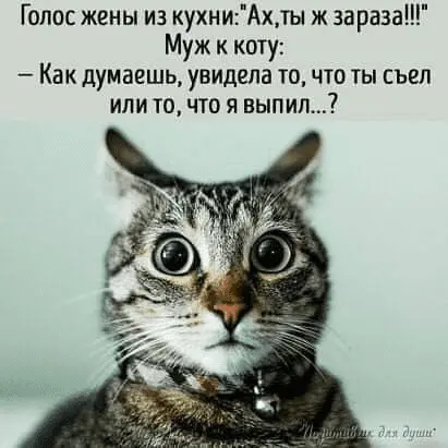 1644262151911.webp