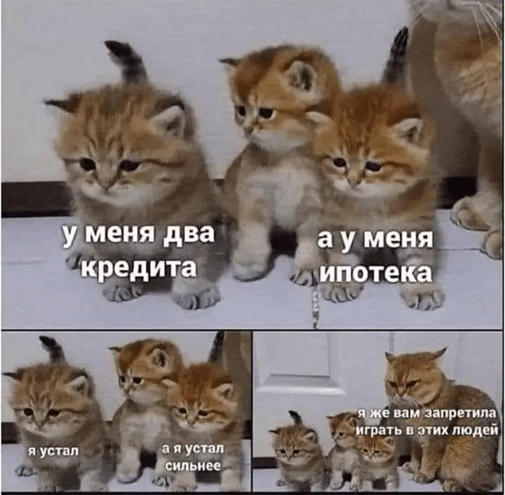 1644266531605.webp