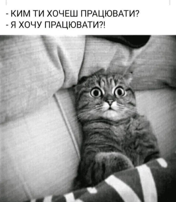 1644267796115.webp