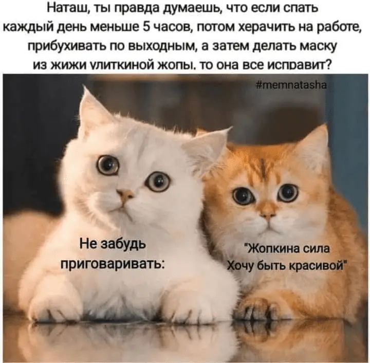 1644322788463.webp