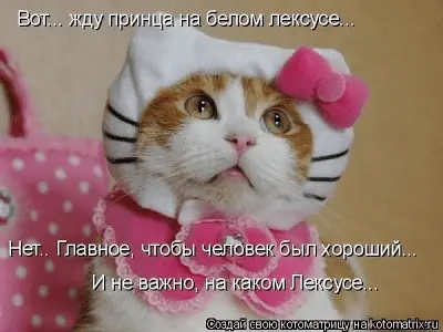 1644324610722.webp