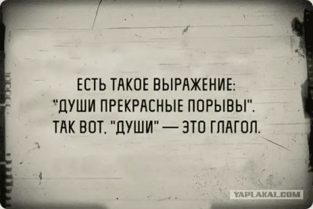 1644351057676.webp