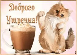 1644395425307.webp