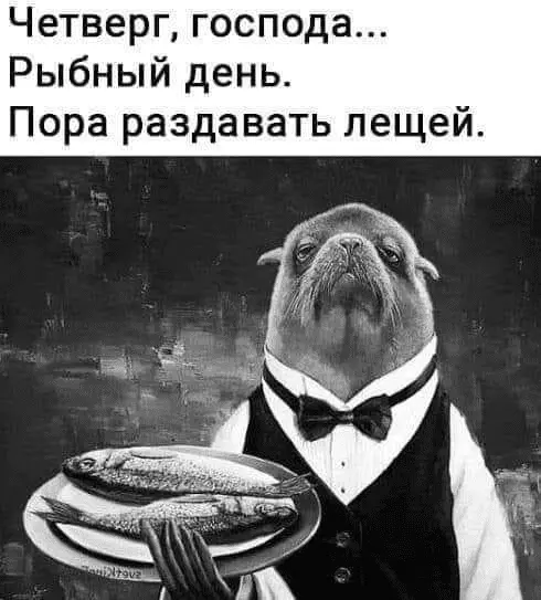 1644488609295.webp