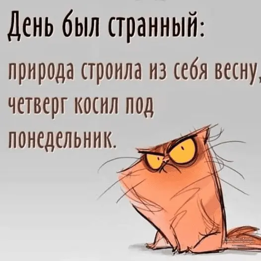 1644490131831.webp