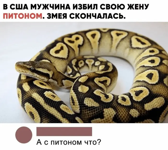 1644494461738.webp