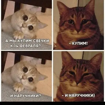 1644841095927.webp