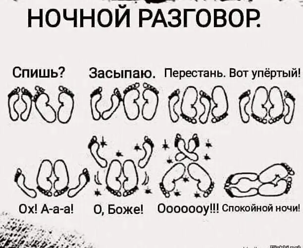 1644841780952.webp