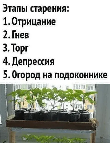 1644851198441.webp