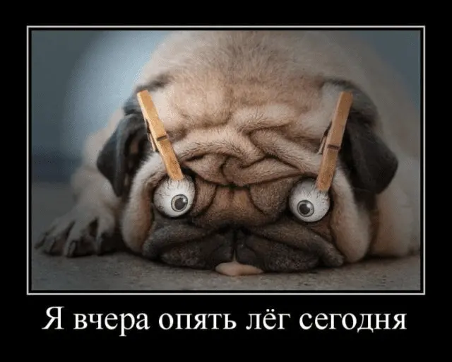 1644997424948.webp