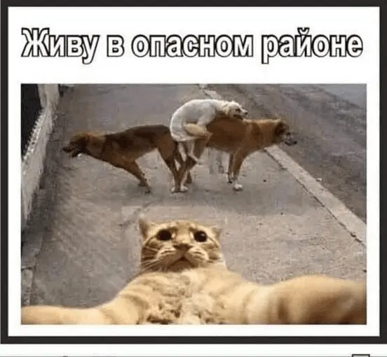 1645023880524.webp