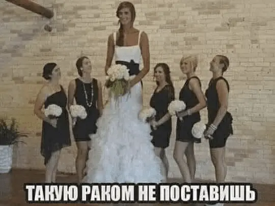1645024738327.webp