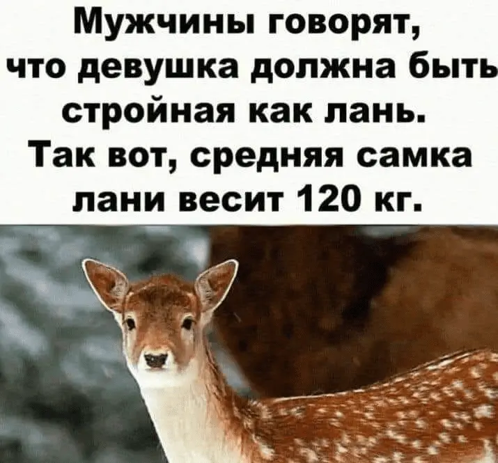 1645042022278.webp