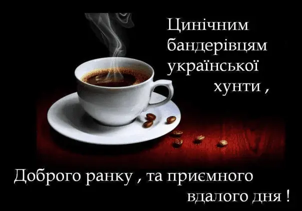 1645085313881.webp