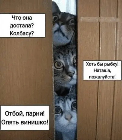 1645097855537.webp