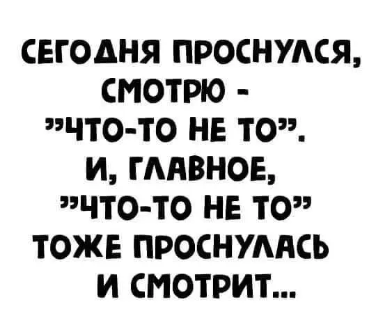1645103555689.webp