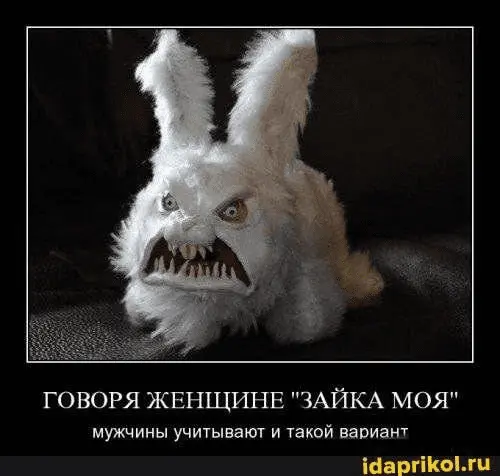 1645176703786.webp