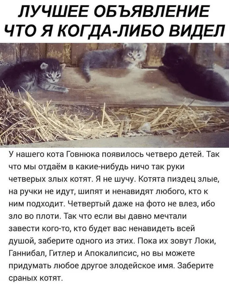 1645450615422.webp