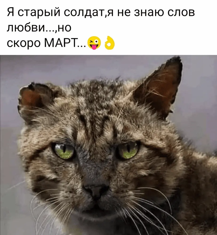 1645604221376.webp