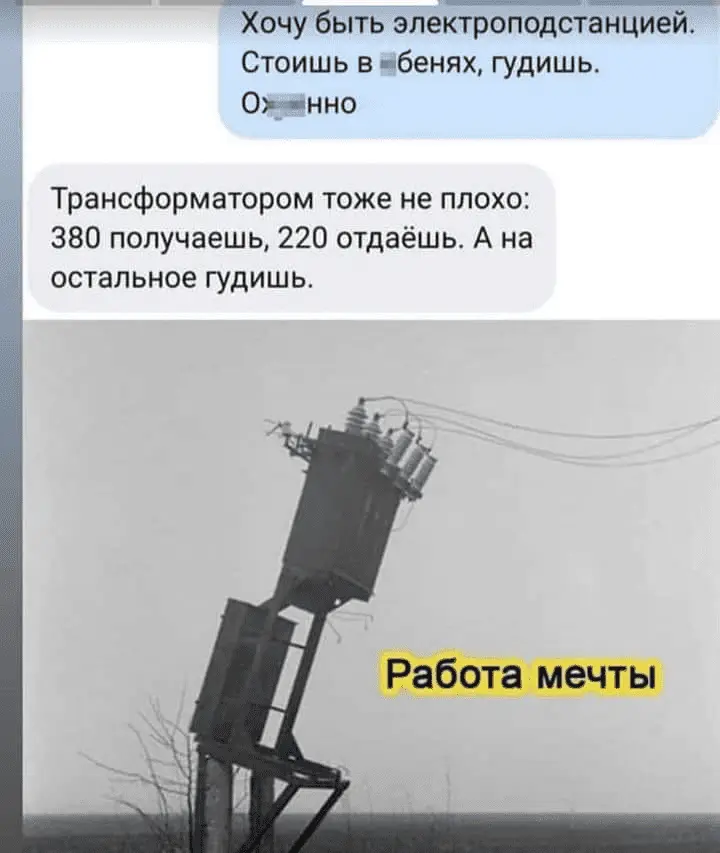 1645606919532.webp
