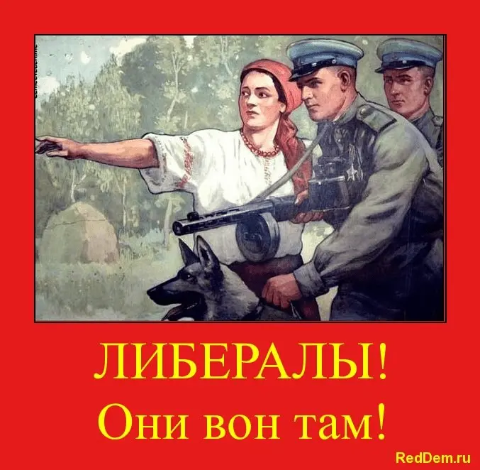 1645641605907.webp