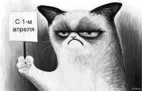 1648800665114.webp