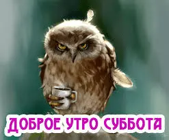1648878735252.webp