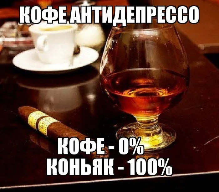 1649963694_48-kartinkof-club-p-konyak-prikolnie-kartinki-49.webp
