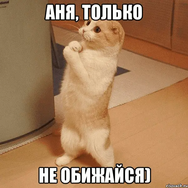 1650295947156.webp