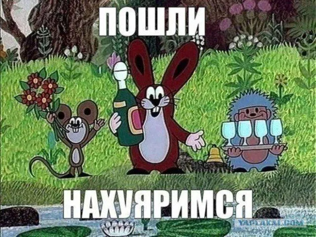 1650627522198432149.webp