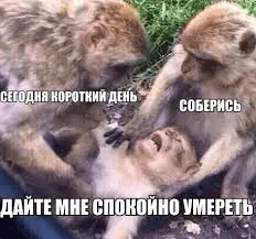 1651296393227.webp
