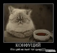 1651727796234.webp