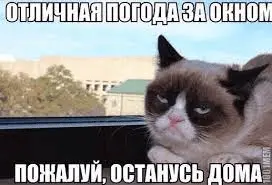 1653281036719.webp