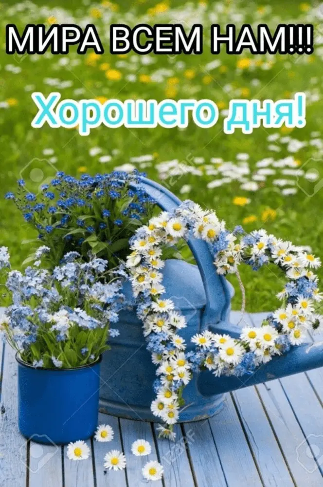 1653306239042.webp